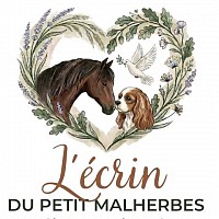 L'&eacute;crin de petit Malherbes &eacute;levage de cavaliers King Charles pension canine &eacute;curies