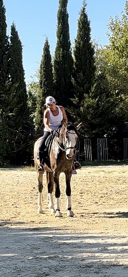 Cheval