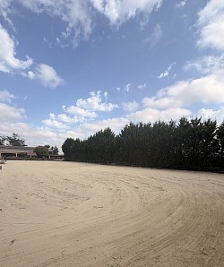 Cheval