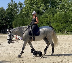 Ils nous suivent même à cheval
