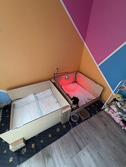 Nos boxs de mise bas